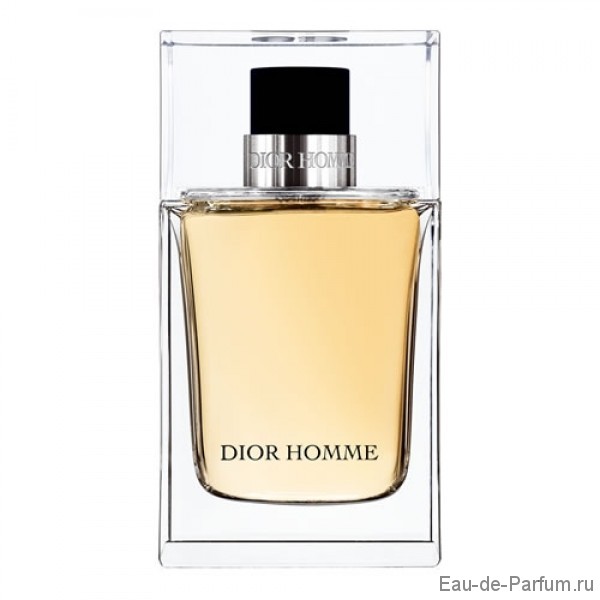 Dior Homme "Christian Dior" MEN 100ml (ТЕСТЕР Made in France)