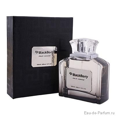 Купить духи, туалетную воду BlackBerry pour homme 100ml (АП). Доставка ...